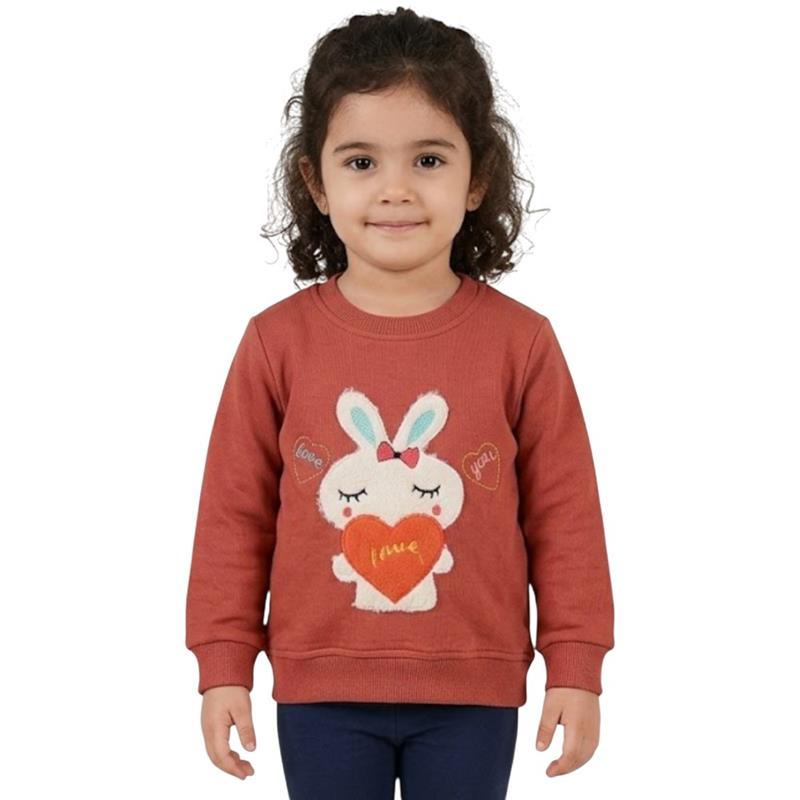 407 toptan 2-5 yaş arası kız çocuklar için çocuk mevsimlik tavşan nakışlı sweatshirt