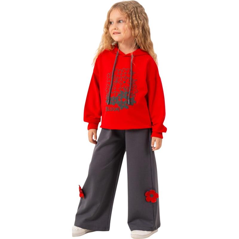 2003 toptan 5-6/7-8/9-10/11-12 yaş arası kız çocuklar için Çocuk eşofman takımı(kapüşonlu sweatshirt ve geniş paçalı pantolon)