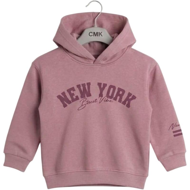 3220 toptan 3-12 yaş arası kız çocukları için "NEW YORK Street Vibe" baskılı çocuk kapüşonlu sweatshirt
