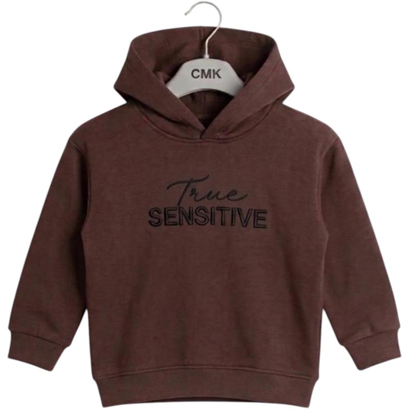 3110  toptan 3-12 yaş arası erkek çocuklar için üç iplikli polar kumaştan üretilmiş, kapüşonlu "True Sensitive" çocuk sweatshirt